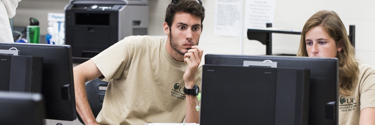 bachelor of computer security and forensics
