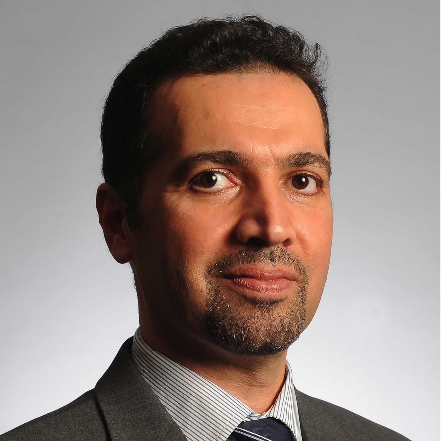Yaser P. Fallah