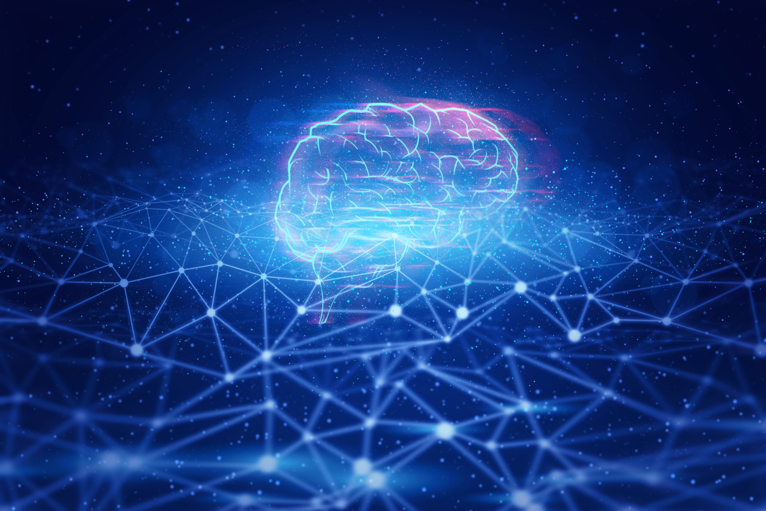 brain