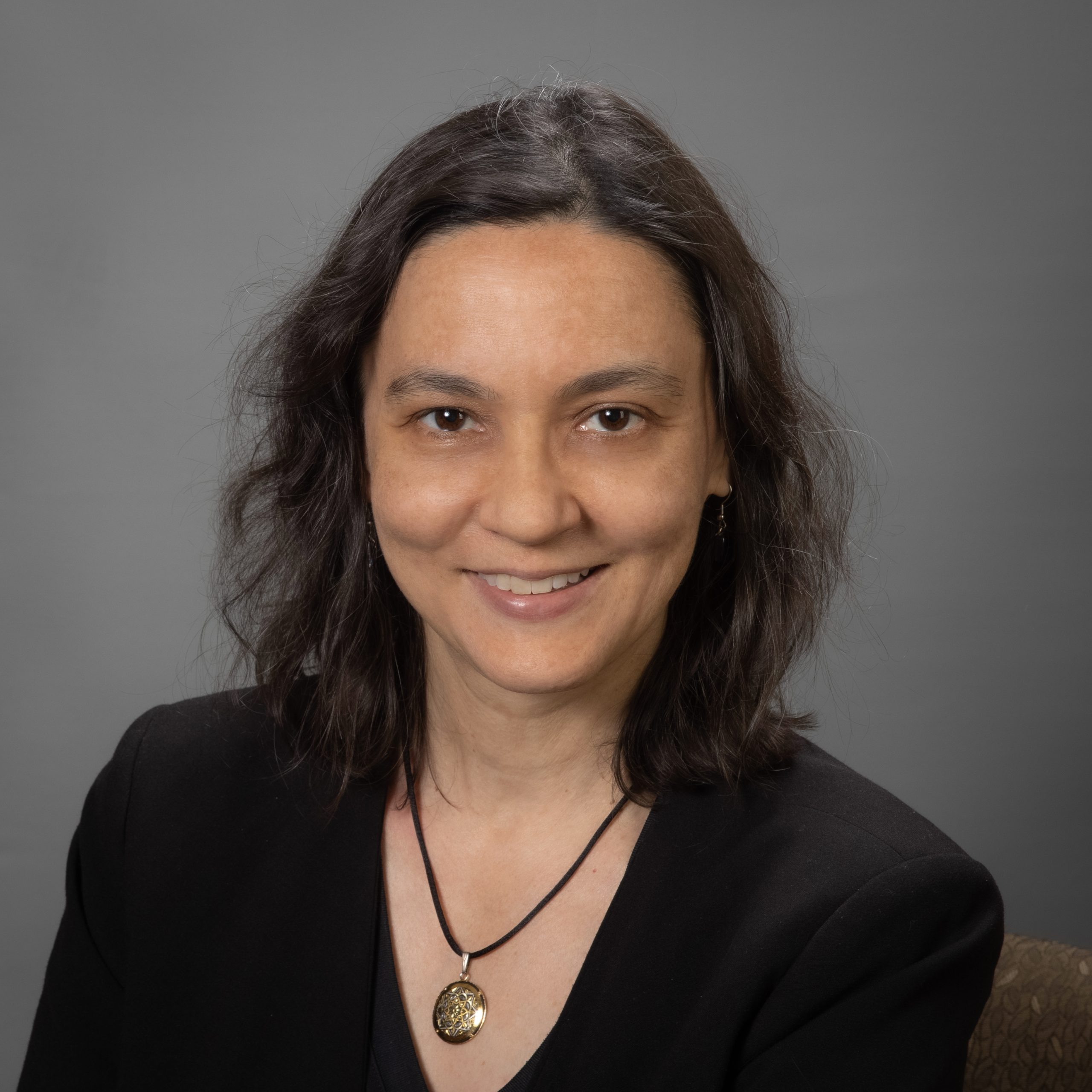gita sukthankar