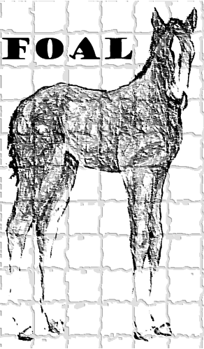 A large version of the FOAL
logo