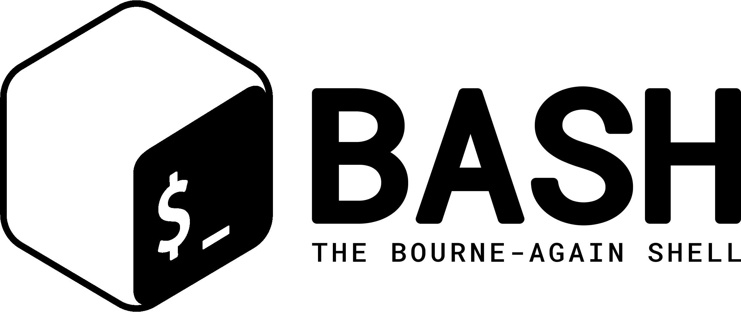 The Bash shell language.
