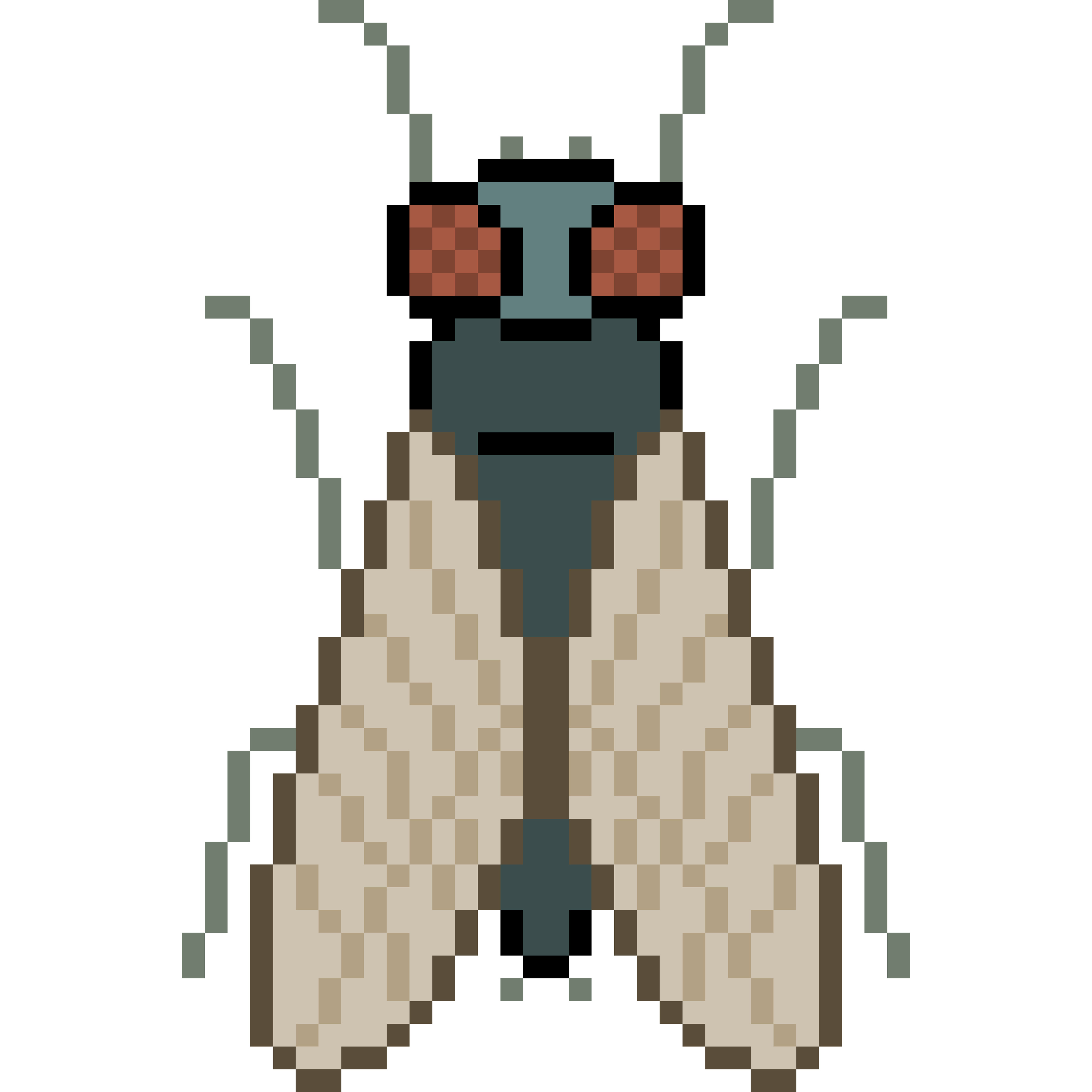 A bug.