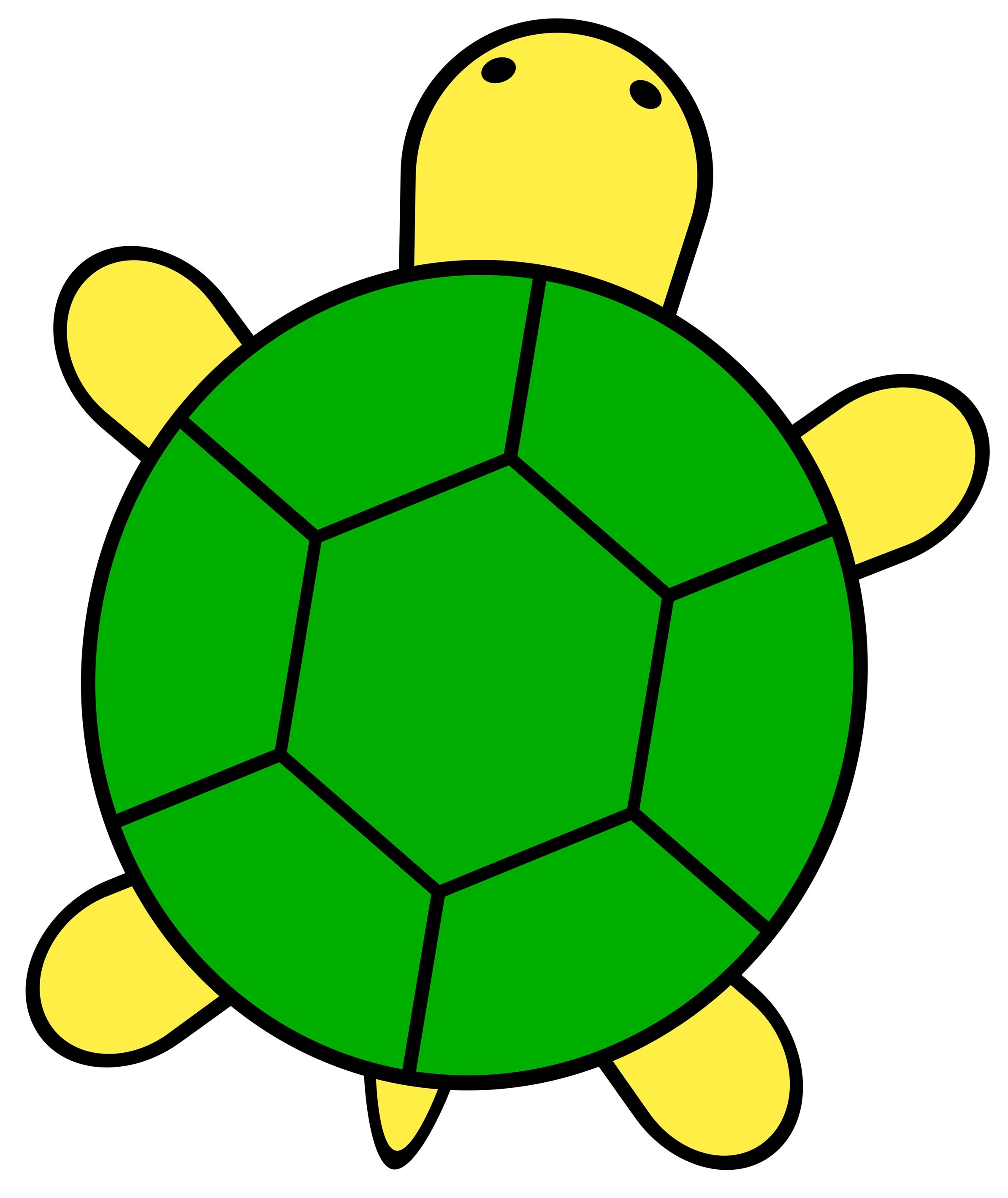 The tortoise.